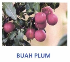 Trademark BUAH PLUM + LUKISAN