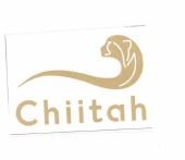 Trademark CHIITAH + LOGO