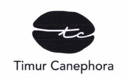 Trademark Timur Canephora + LOGO