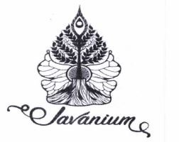 Trademark JAVANIUM + LOGO