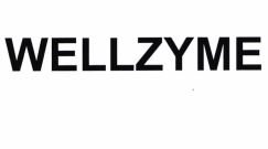 Trademark WELLZYME