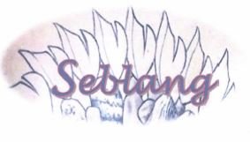 Trademark SEBLANG