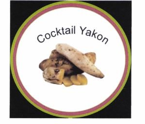 Trademark Cocktail Yakon + lukisan