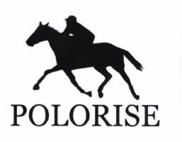 Trademark POLORISE dan LOGO