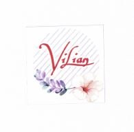 Trademark VILIAN + LOGO