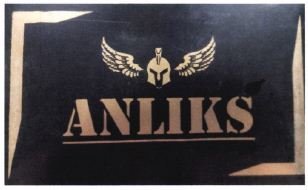 Trademark ANLIKS + Logo