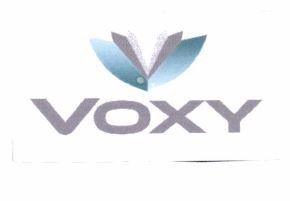 Trademark VOXY + LOGO