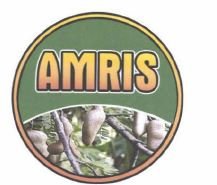 Trademark AMRIS + LOGO