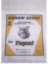 Trademark TUPAI + Lukisan