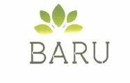 Trademark BARU + LOGO