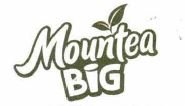 Trademark MOUNTEA BIG + lukisan