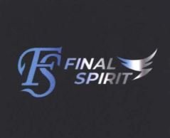 Trademark FINAL SPIRIT + Logo