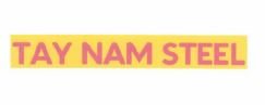 Trademark TAY NAM STEEL + Logo