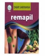 Trademark REMAPIL + LUKISAN