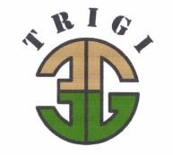 Trademark Trigi