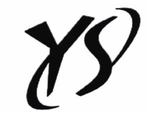 Trademark YS DAN LOGO