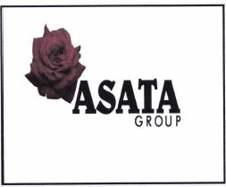 Trademark ASATA GROUP + LOGO