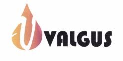 Trademark VALGUS