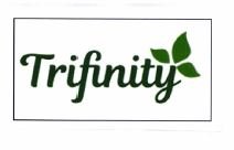 Trademark TRIFINITY + LUKISAN