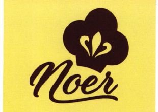 Trademark Noer + Logo