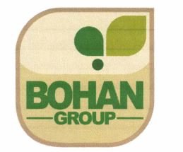 Trademark BOHAN GORUP + LOGO