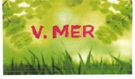 Trademark V MER + LOGO