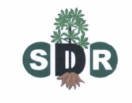 Trademark SDR + LOGO/LUKISAN