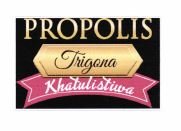 Trademark PROPOLIS TRIGONA KHATULISTIWA + LOGO