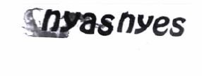 Trademark NYAS NYES + logo