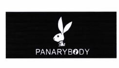 Trademark PANARYBODY + LOGO