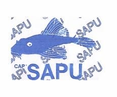 Trademark IKAN SAPU SAPU + LUKISAN