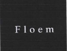 Trademark FLOEM