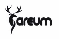 Trademark AREUM + LOGO