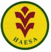 Trademark HAESA