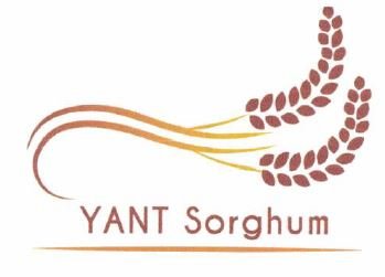 Trademark YANT SORGHUM + Lukisan