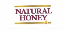 Trademark NATURAL HONEY + Logo