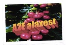 Trademark A2E alaxest