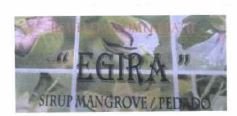 Trademark EGIRA