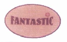 Trademark FANTASTIC + LOGO