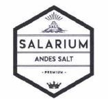 Trademark SALARIUM ANDES SALT + Lukisan