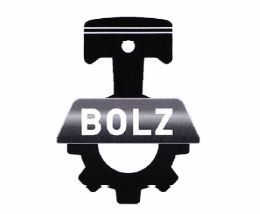 Trademark BOLZ