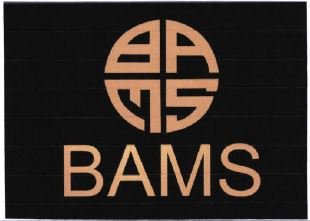 Trademark BAMS + LOGO