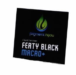 Trademark Ferty Black