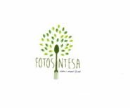 Trademark FOTOSINTESA + LOGO