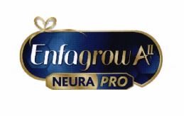 Trademark ENFAGROW AII NEURAPRO Bow logo