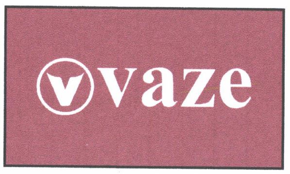 Trademark VAZE + LOGO