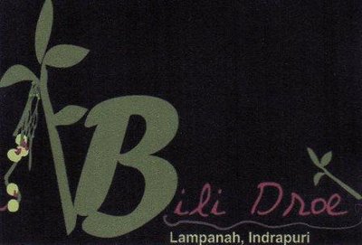 Trademark Bili Droe