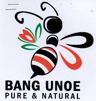 Trademark BANG UNOE