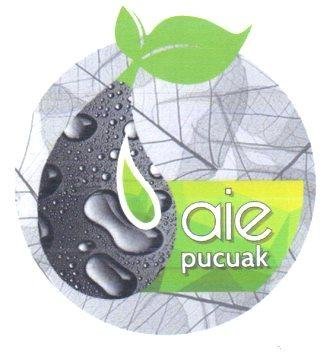 Trademark Aie Pucuak