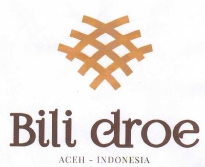 Trademark Bili droe